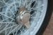 LowRes_82