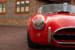 Cobra_Red_MK4_16