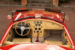 Cobra_Red_MK4_36