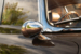 LowRes_EType_8